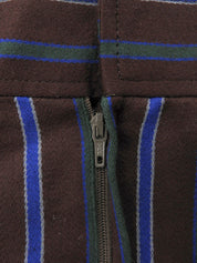 Striped pattern skirt in brown/blue