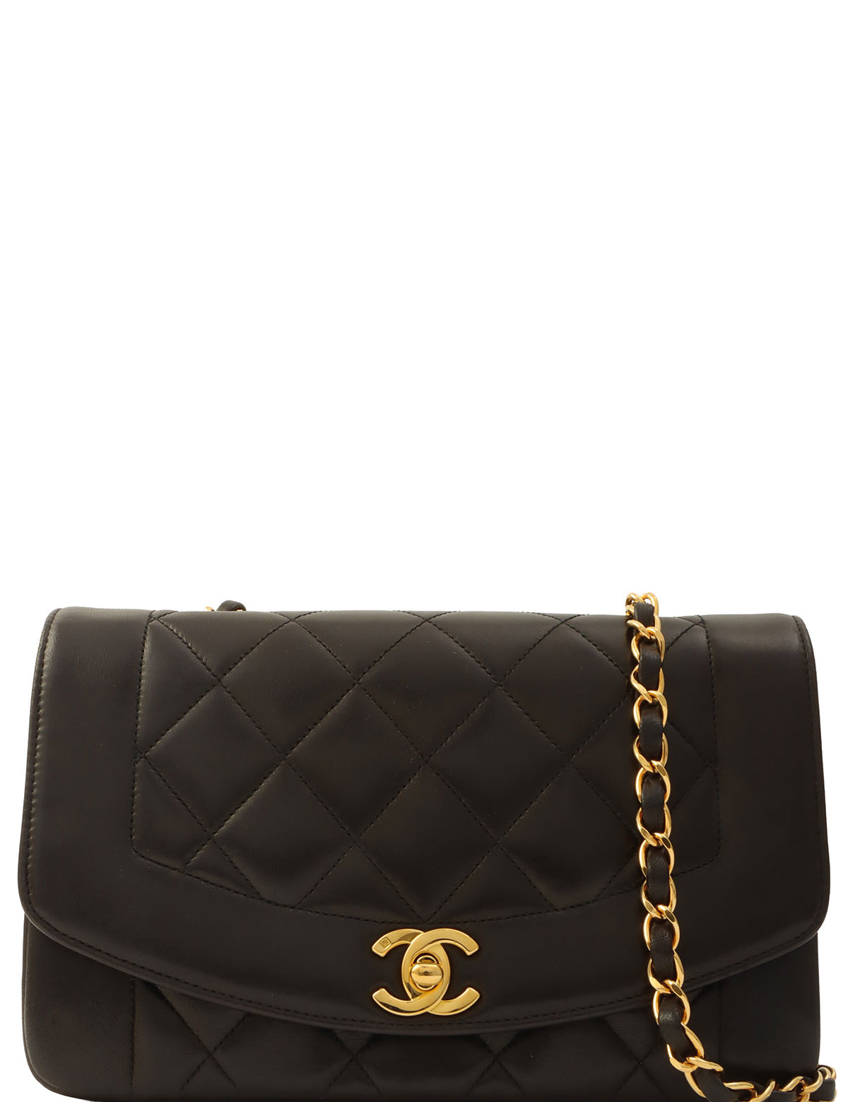 240802182956-2_05c15969-ff90-44d6-8288-9e9201a4c386.jpg