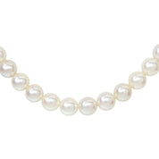 14K Akoya Pearl Necklace White