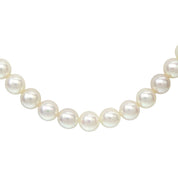 14K Akoya Pearl Necklace White