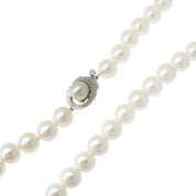 14K Akoya Pearl Necklace White