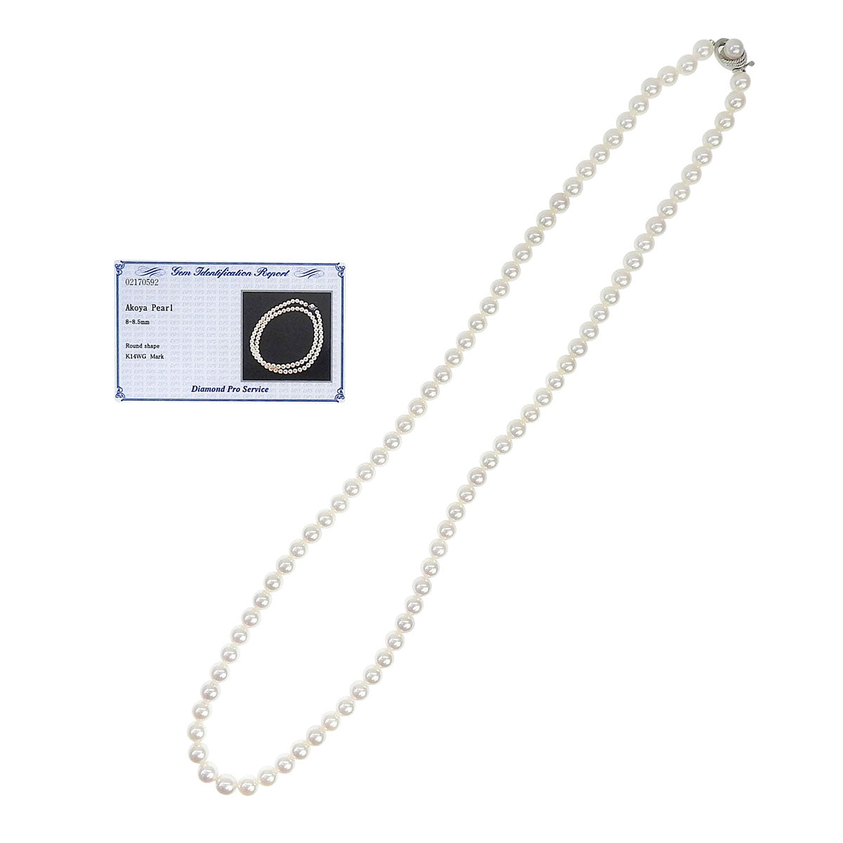 14K Akoya Pearl Necklace White