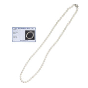 14K Akoya Pearl Necklace White