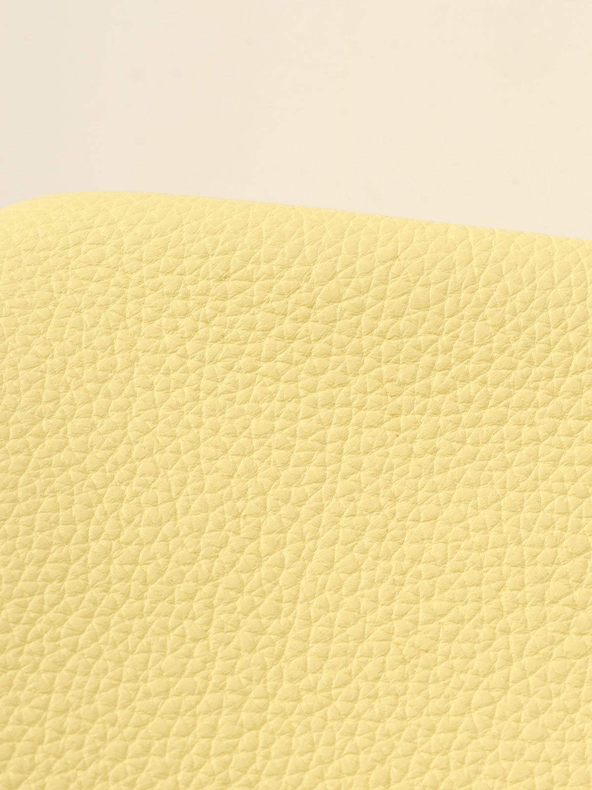 2021年製 バーキン25 ジョーヌプッサン