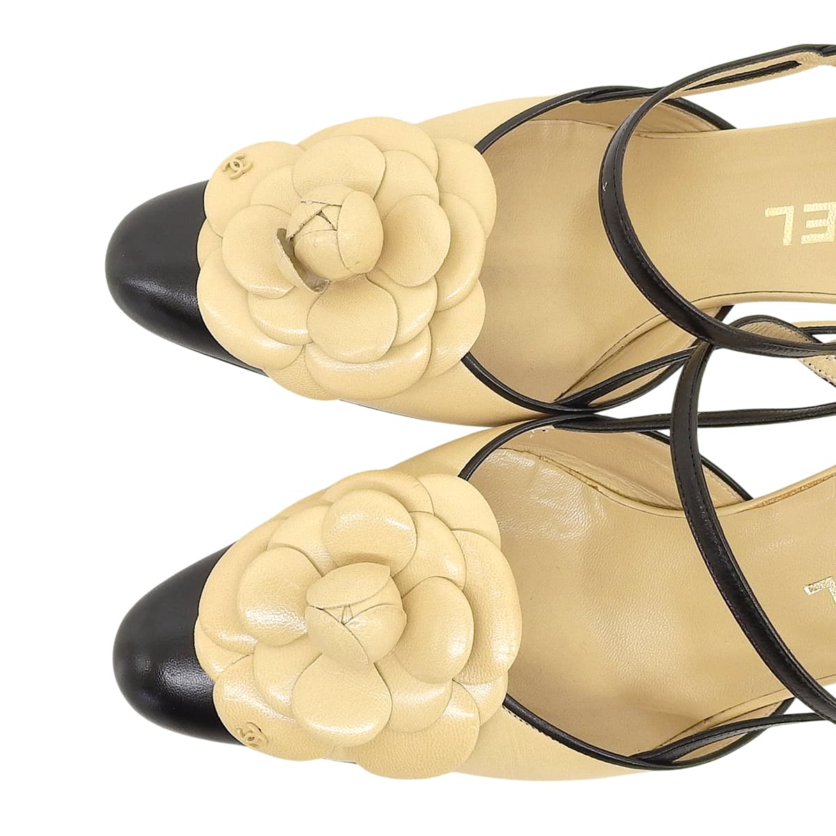 Camelia CC Mark Mules #36.5 Beige/Black
