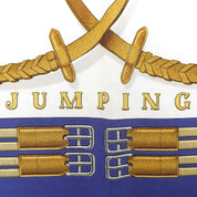 カレ90 JUMPINGスカーフ ブルー/ホワイト/イエロー