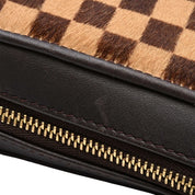 Louis Vuitton Halas Damier Sauvage Tiger Beige/Brown from 2000