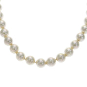 Pearl Design Necklace White