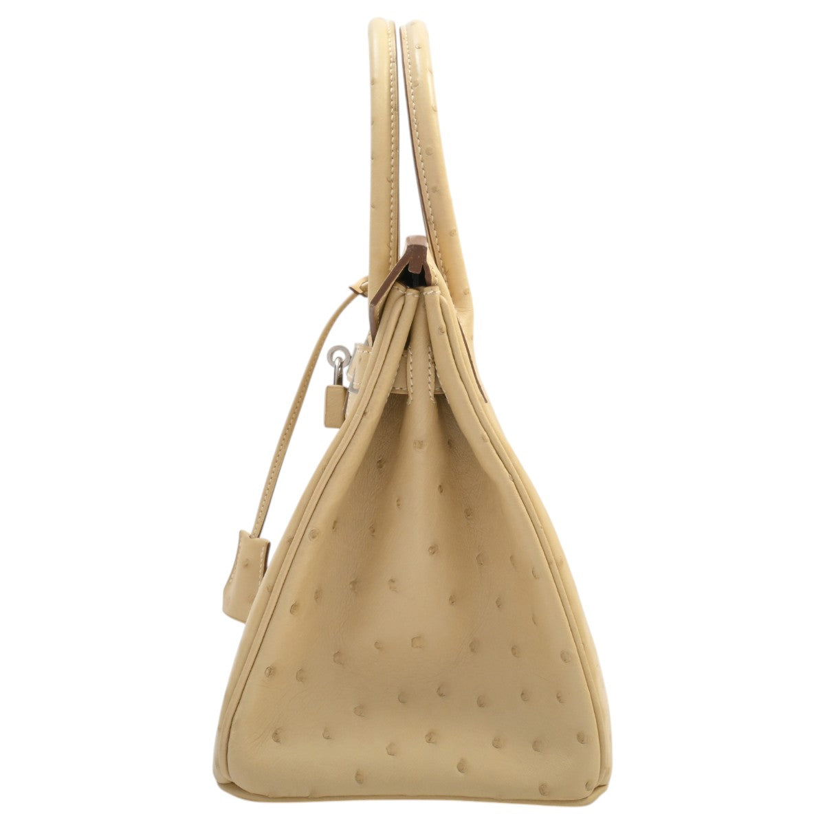 2015 Birkin 30 Ostriches, Porcine Skin Lining