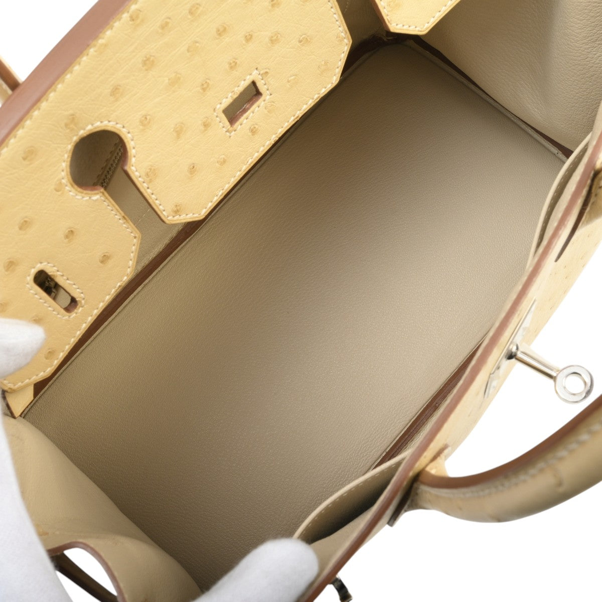 2015 Birkin 30 Ostriches, Porcine Skin Lining