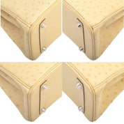 2015 Birkin 30 Ostriches, Porcine Skin Lining