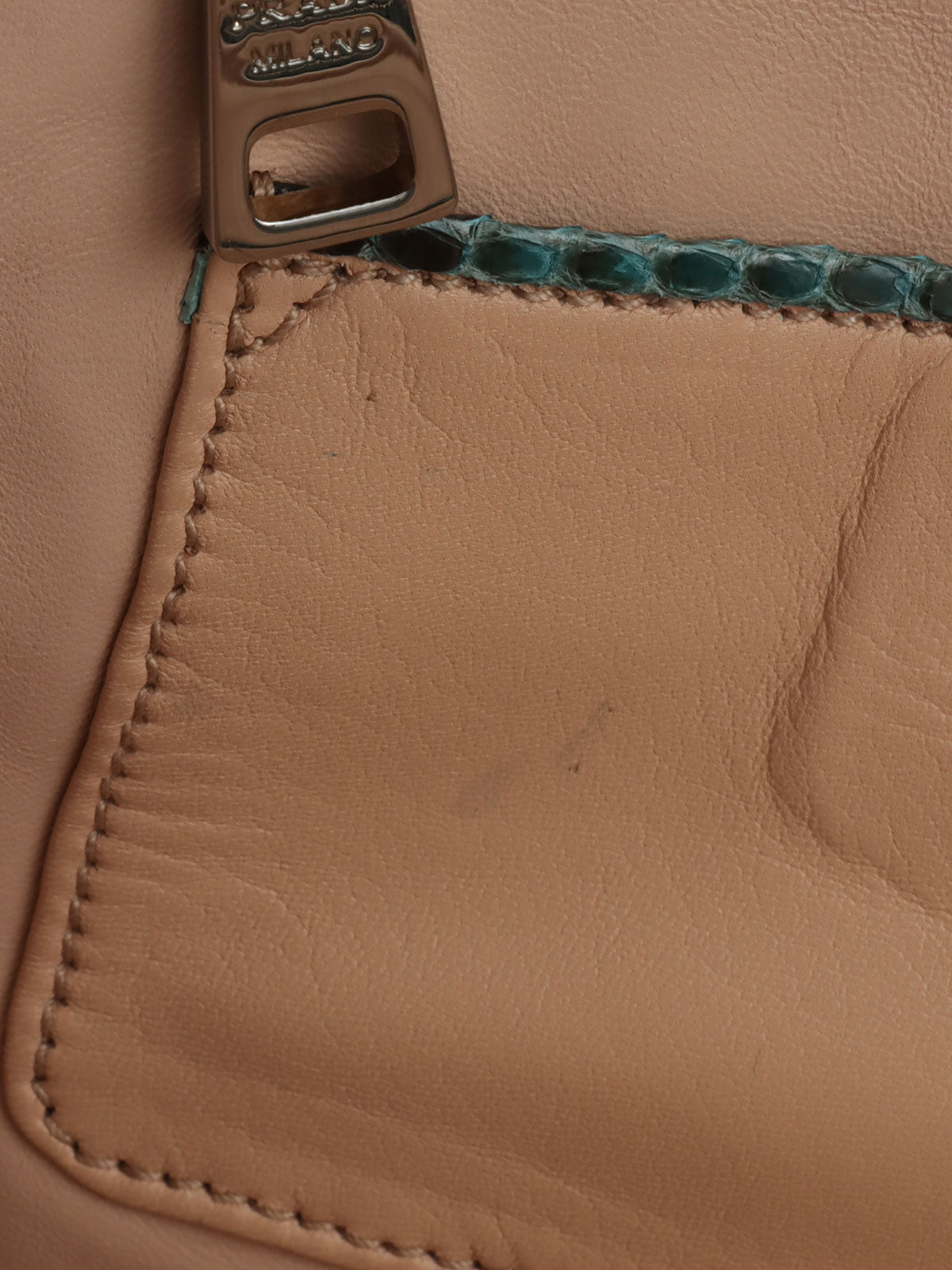 Python logo plate clutch bag in green