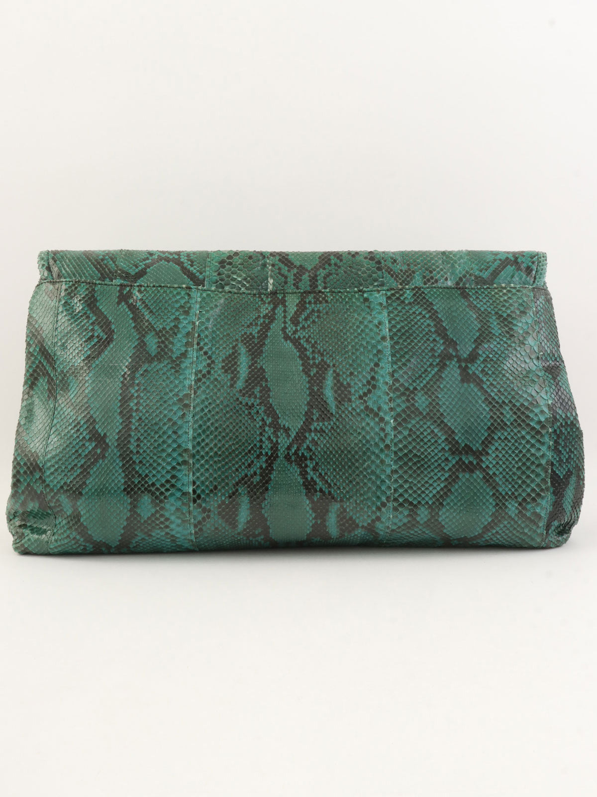 Python logo plate clutch bag in green