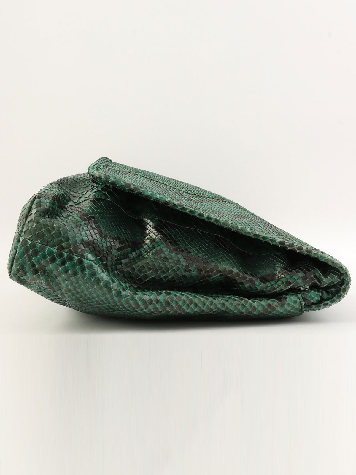 Python logo plate clutch bag in green