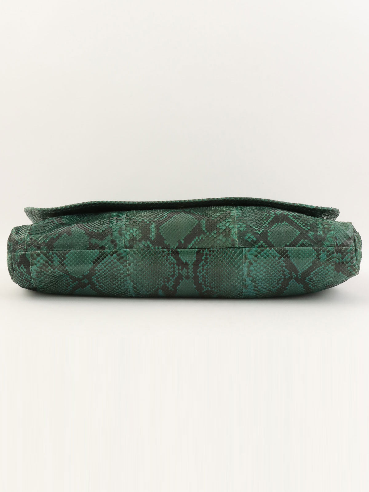 Python logo plate clutch bag in green