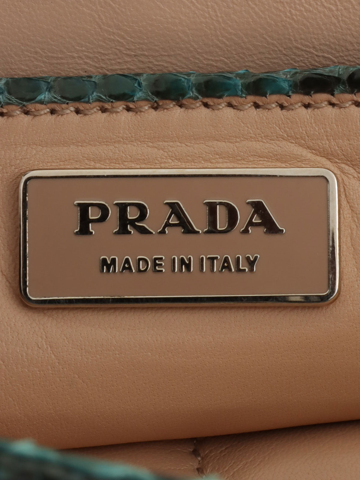 Python logo plate clutch bag in green