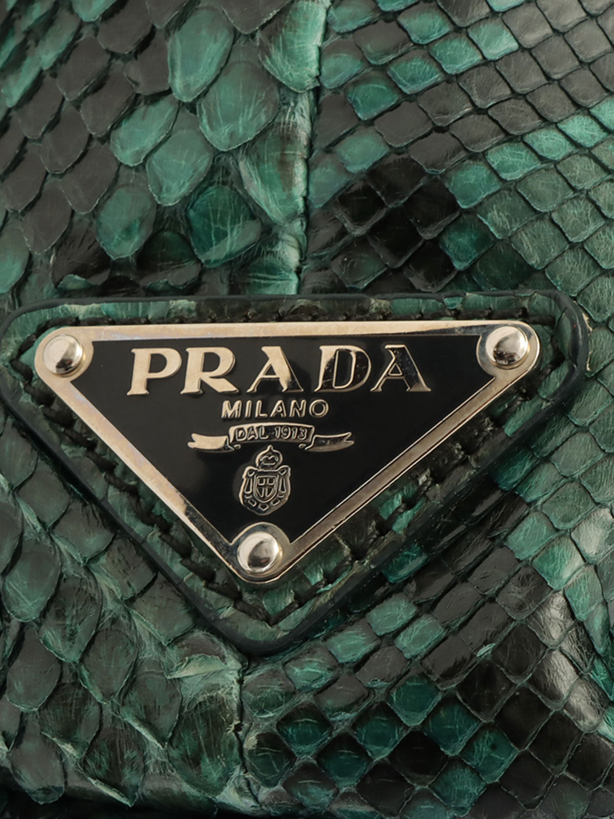 Python logo plate clutch bag in green