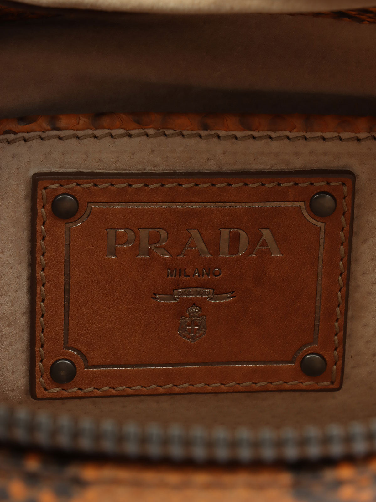 Python logo plate clutch bag in orange