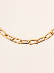 18K Spartacus Gold