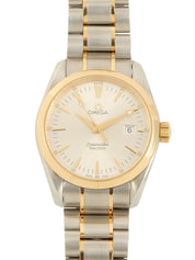 Seamaster Aqua Terra Silver/Gold