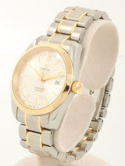 Seamaster Aqua Terra Silver/Gold