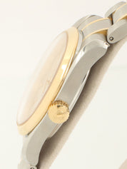Seamaster Aqua Terra Silver/Gold