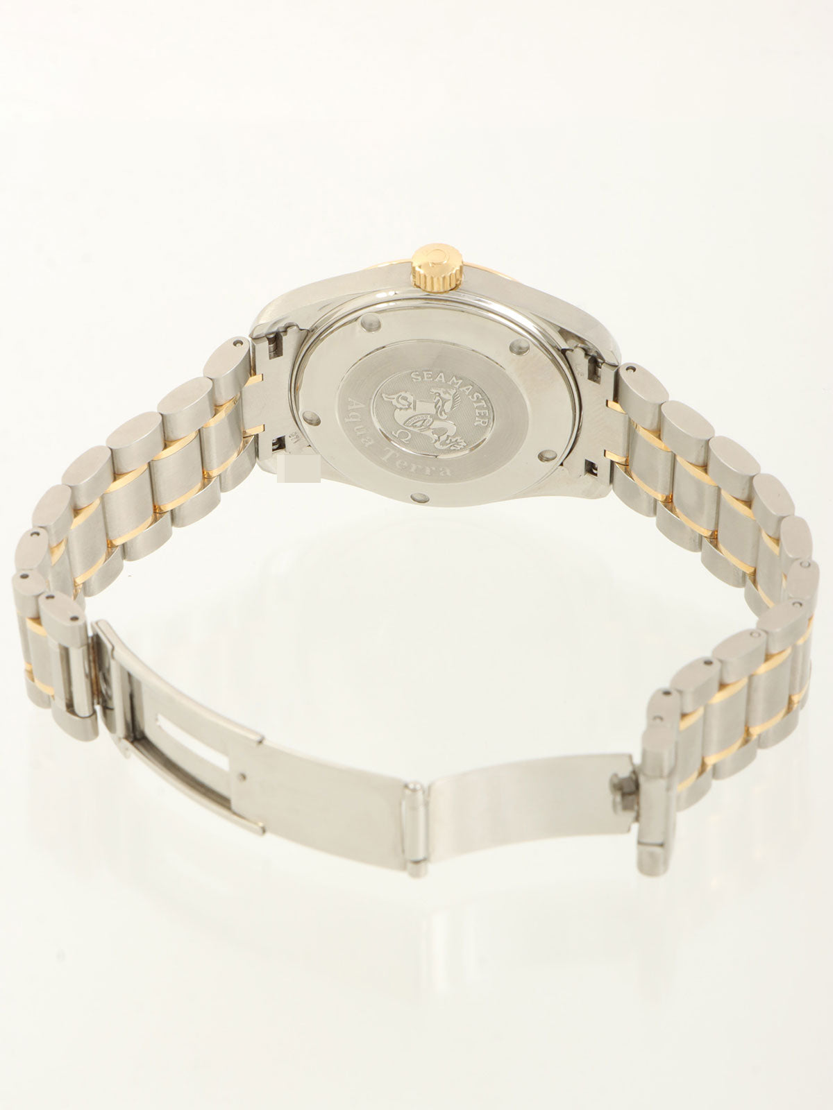 Seamaster Aqua Terra Silver/Gold