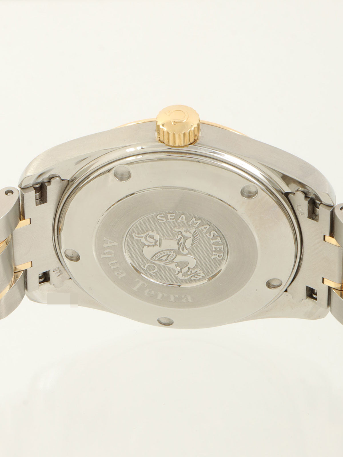 Seamaster Aqua Terra Silver/Gold