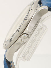 Seamaster Professional 300 Silver/Blue