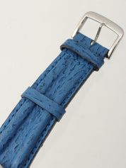 Seamaster Professional 300 Silver/Blue