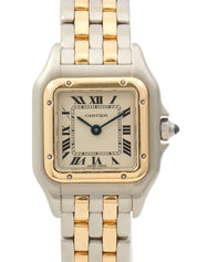 Panthère SM2 Raw Silver/Gold