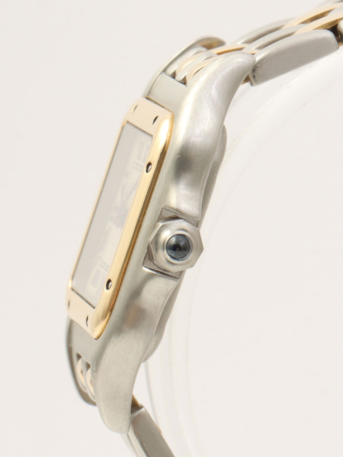 Panthère SM2 Raw Silver/Gold