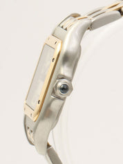 Panthère SM2 Raw Silver/Gold