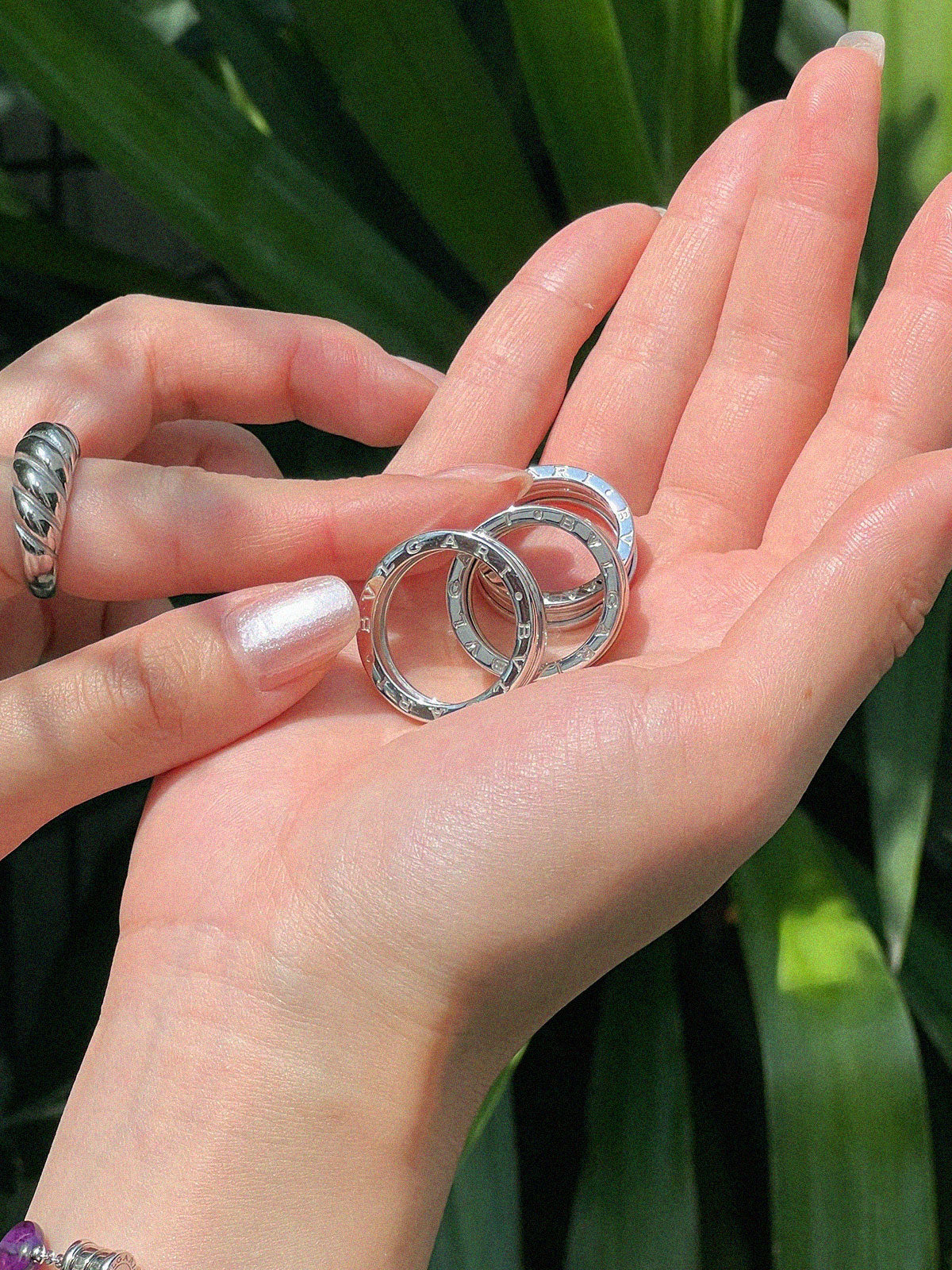 Bvlgari1.jpg