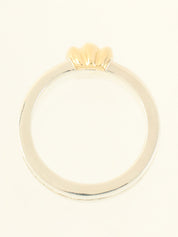 18K925 Glued Wiz Ring Silver/Gold