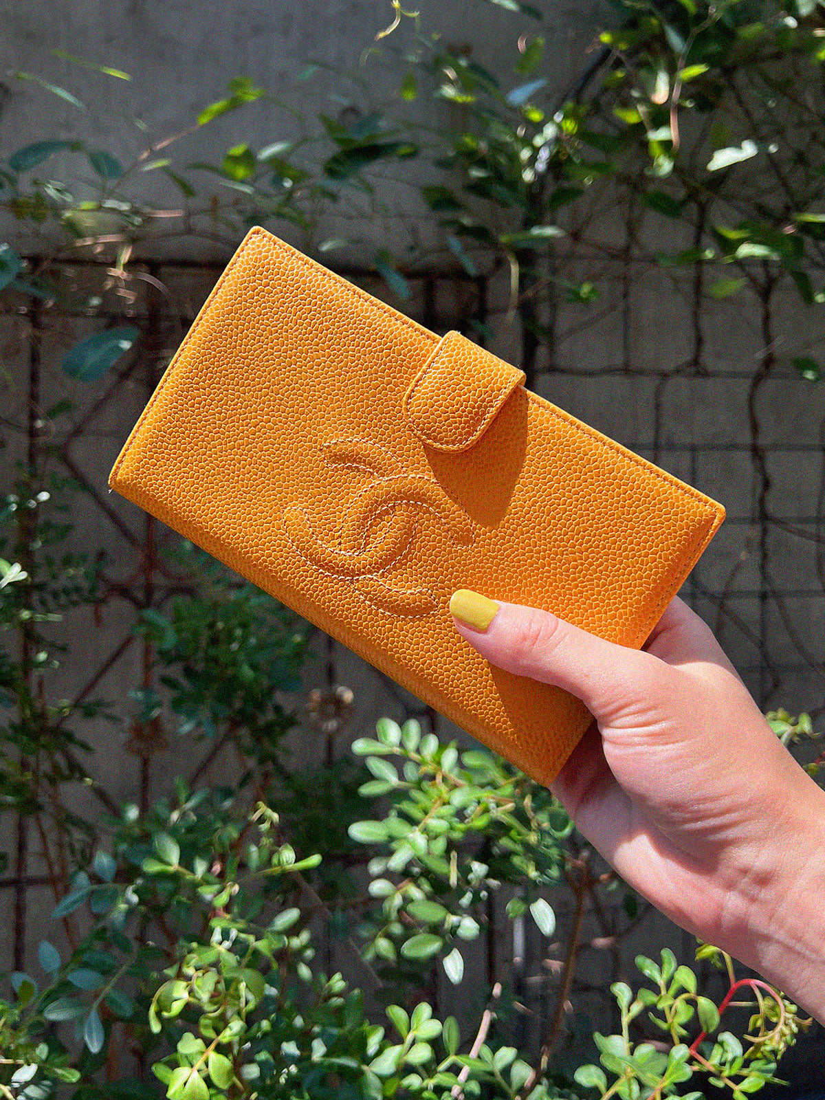 约 2000 年 Caviar Skin CC Mark Stitch 芥末黄长款钱包